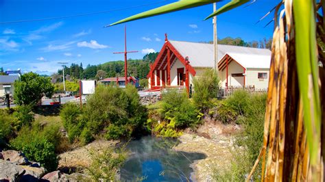whakarewarewa thermal reserve.